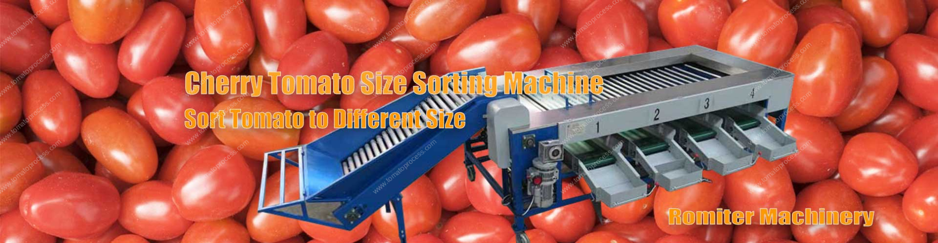 Banner01-Cherry-Tomato-Size-Sorting-Grading-Machine-Supplier-Manufacture