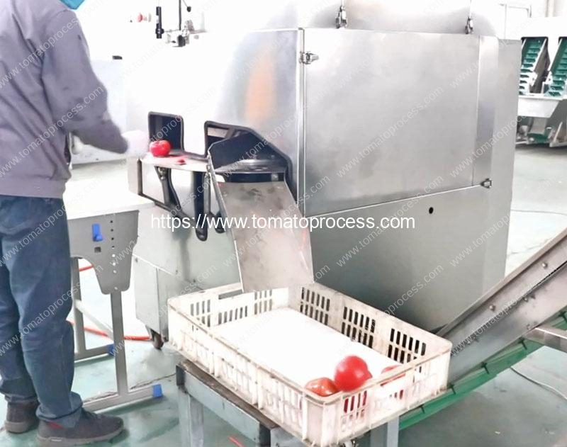 Automatic-Fresh-Tomato-Root-Concave-Cutting-Machine