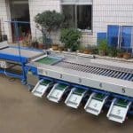 Automatic Cherry Tomato Size Grading Machine with Quality Selection Conveyor